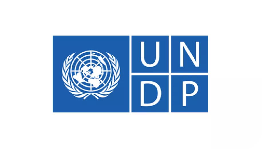 Logo UNDP